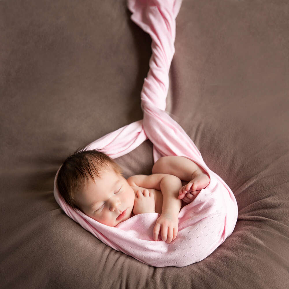 картина-постер Младенец сладко спит в коконе