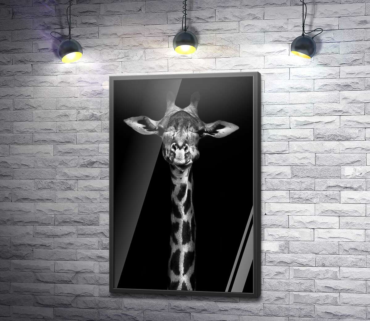 постер Монохромный портрет жирафа