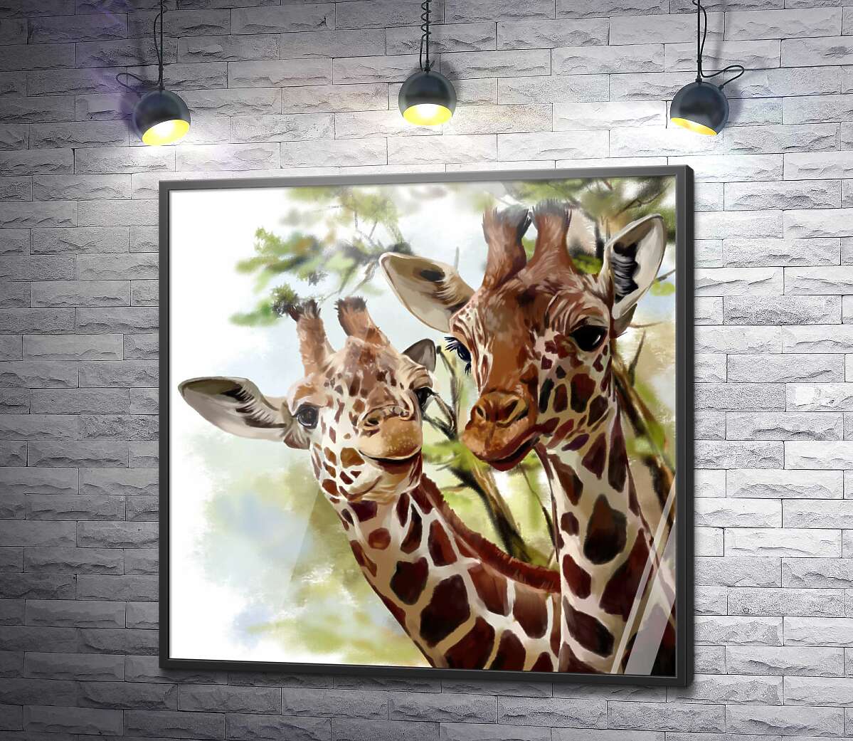 постер Пара милых длинношеих жирафов