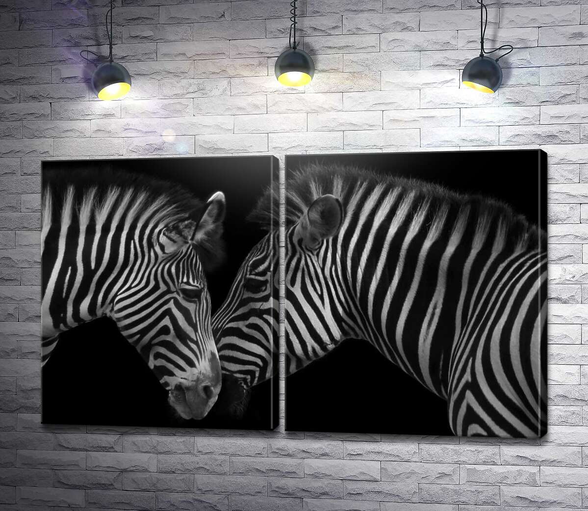 модульная картина Уникальные полоски монохромных зебр