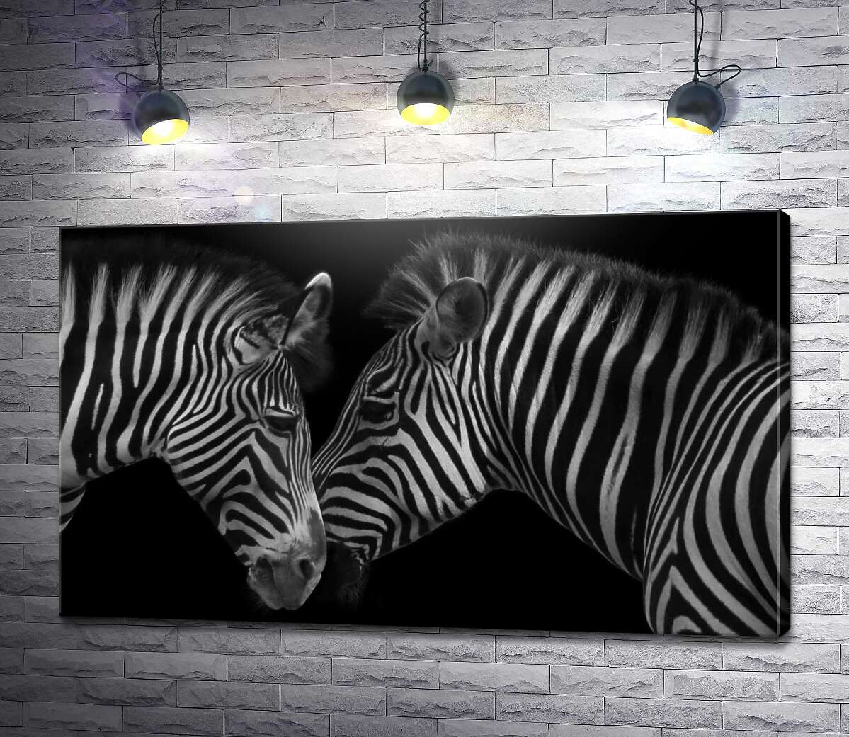 картина Уникальные полоски монохромных зебр