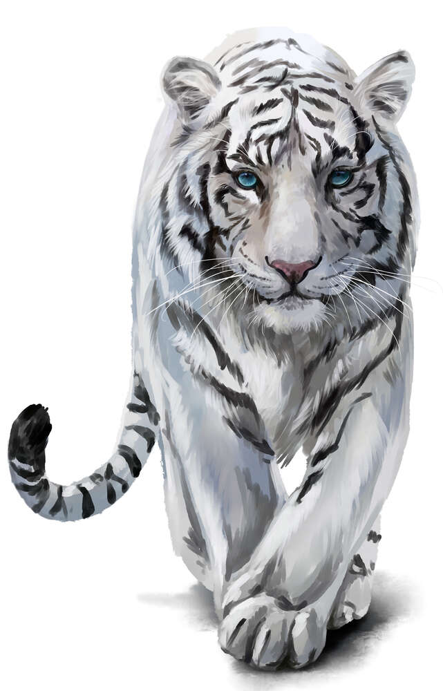 картина-постер Белый тигр с голубыми глазами