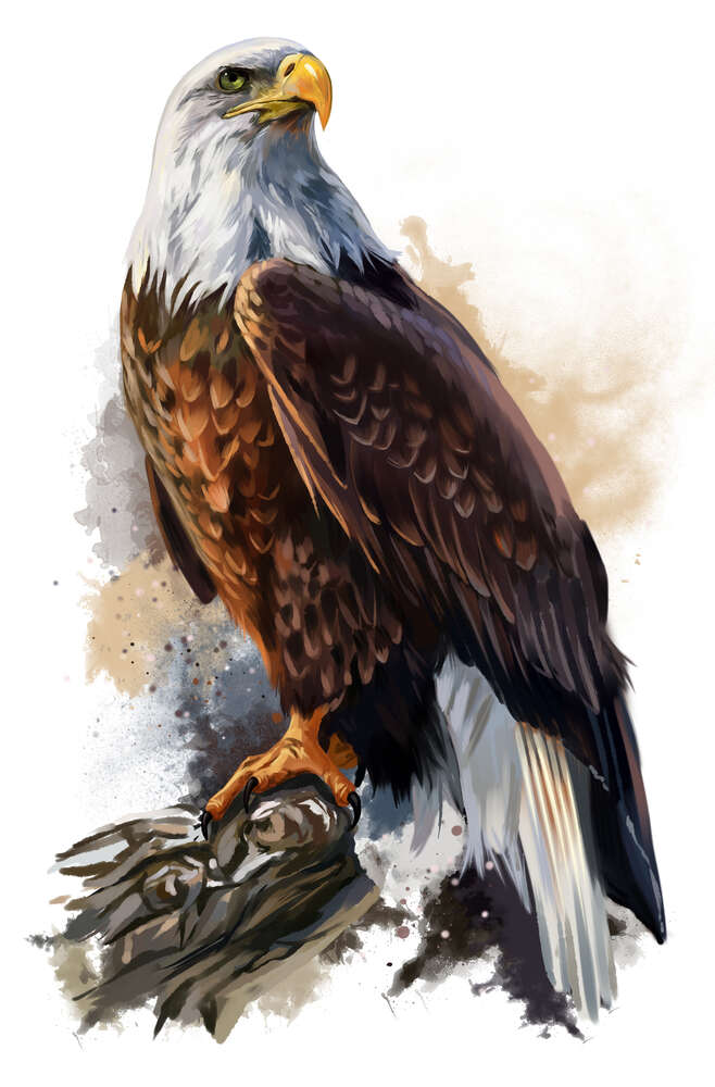 картина-постер Гордый орел на ветке