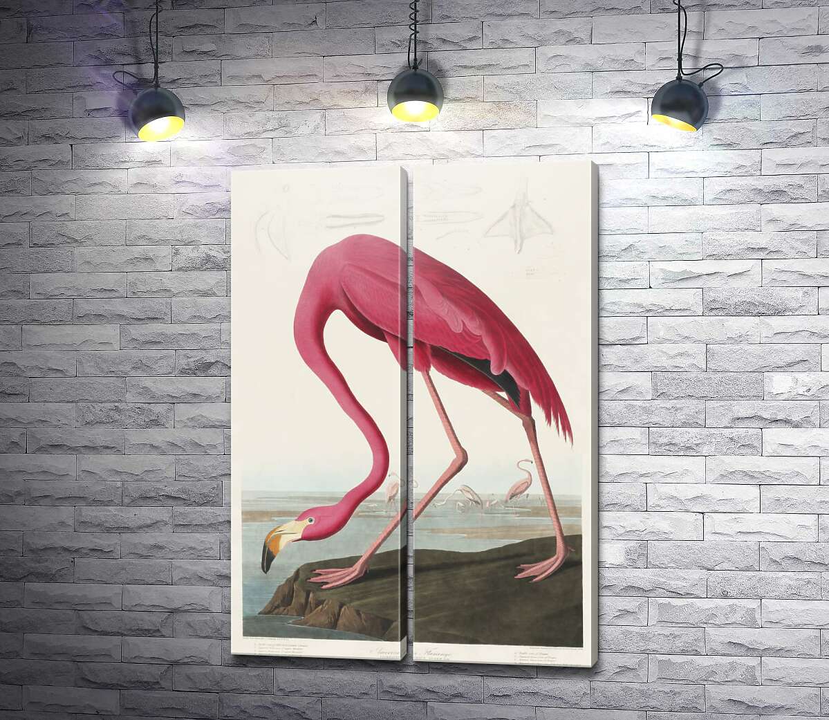 модульная картина Американский фламинго