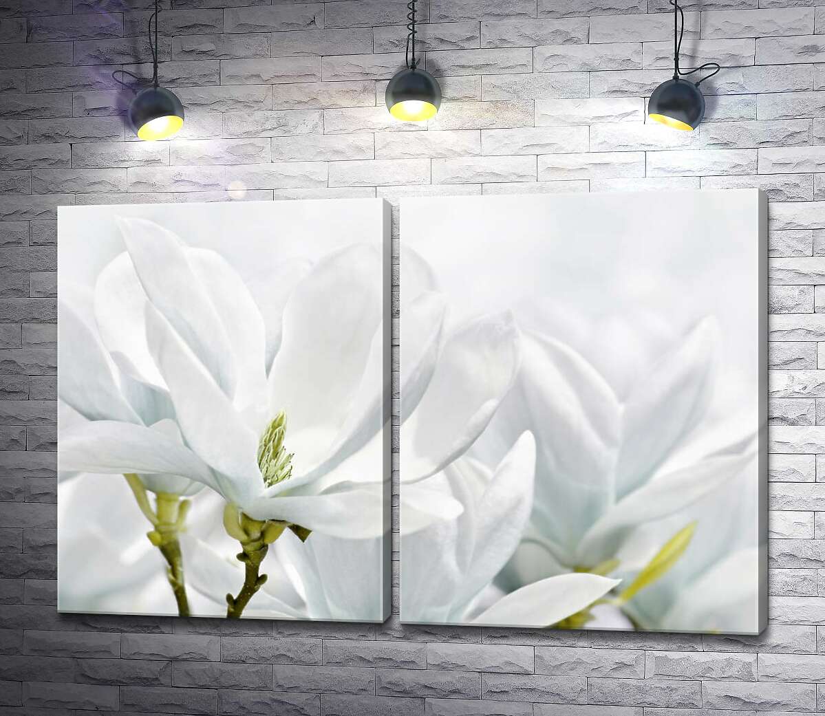 модульна картина Квітка біла магнолія крупним планом