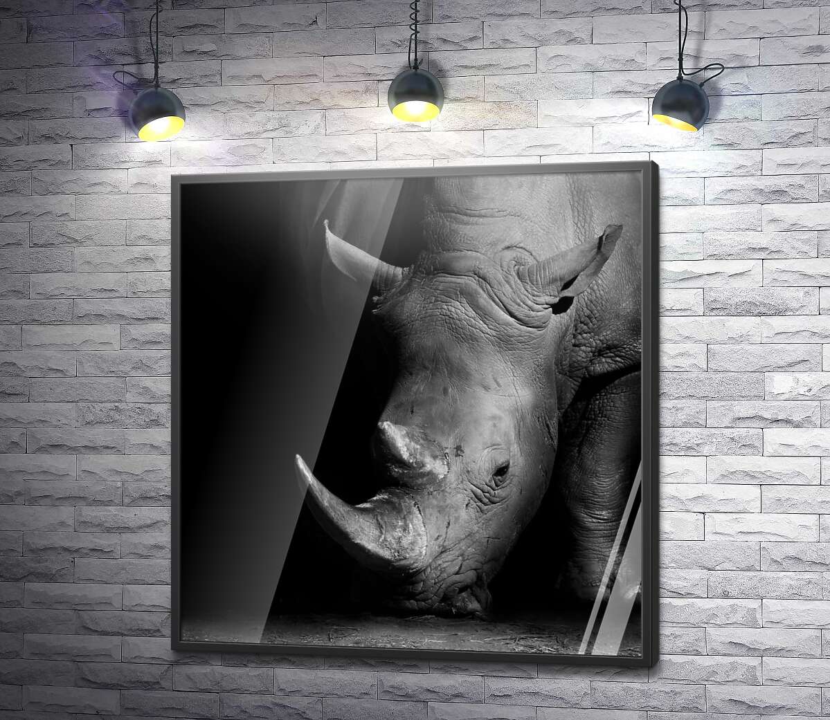 постер Мощный носорог в темных тонах