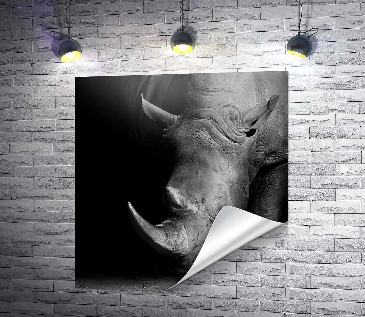 друк Потужний носоріг у темних тонах