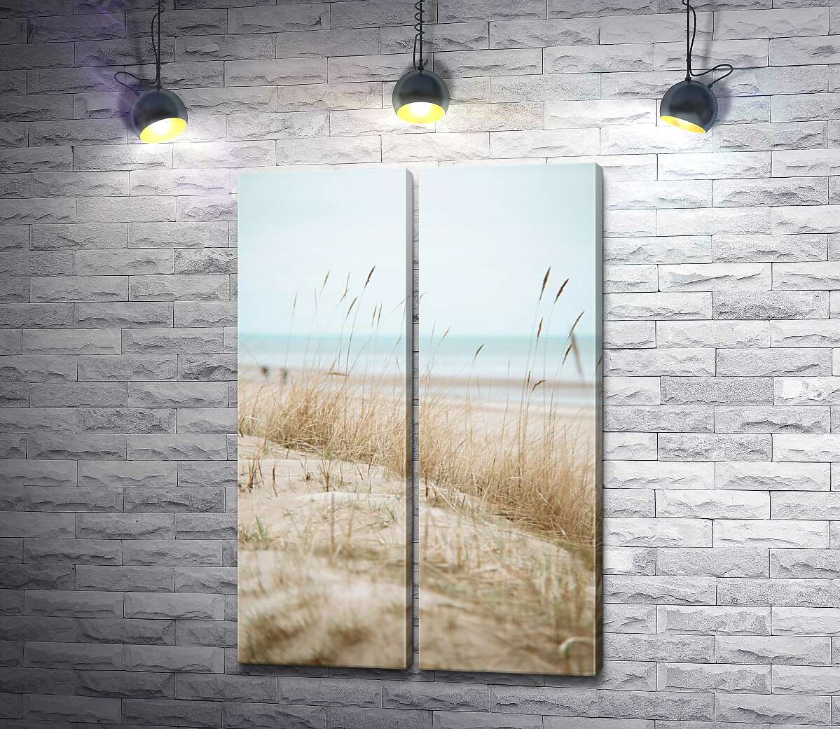 модульная картина Колоски травы на побережье моря