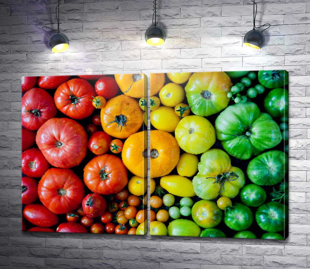 модульная картина Градиент свежих помидоров
