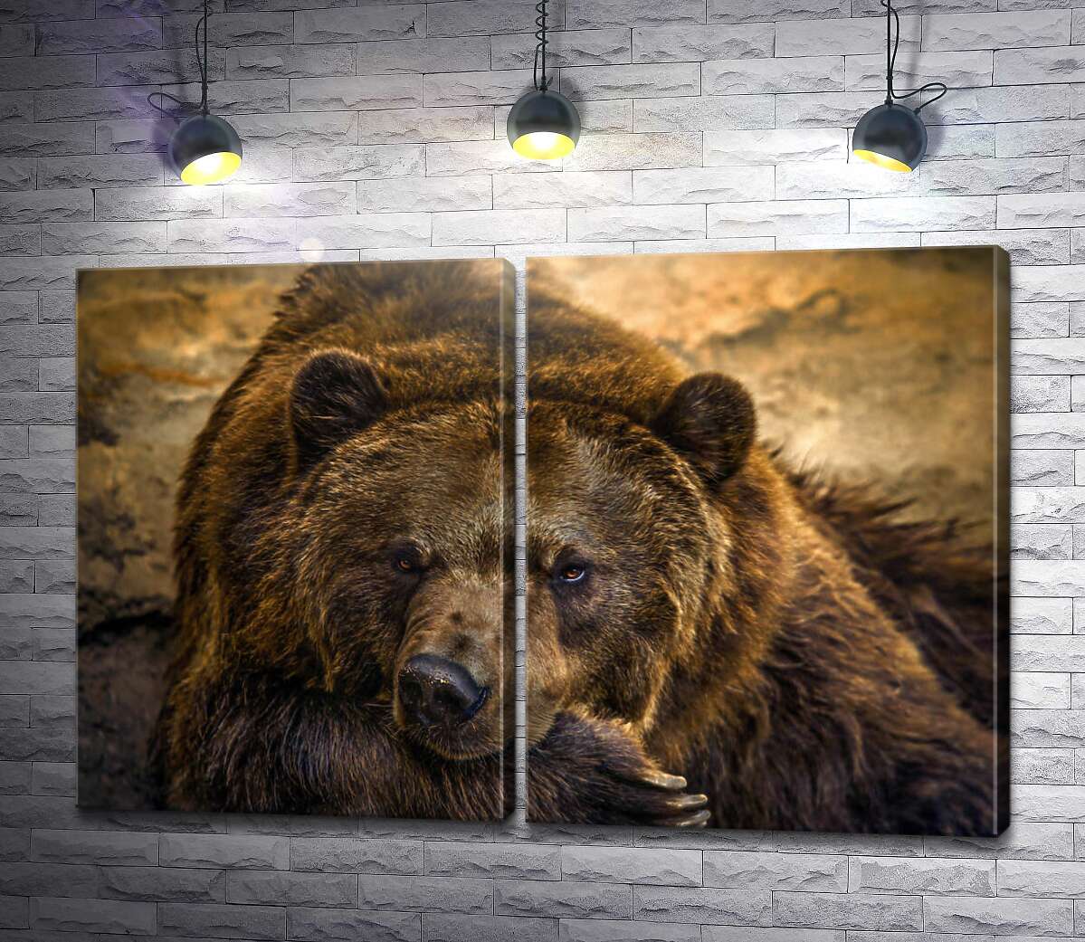 модульна картина Портрет відпочиваючого ведмедя
