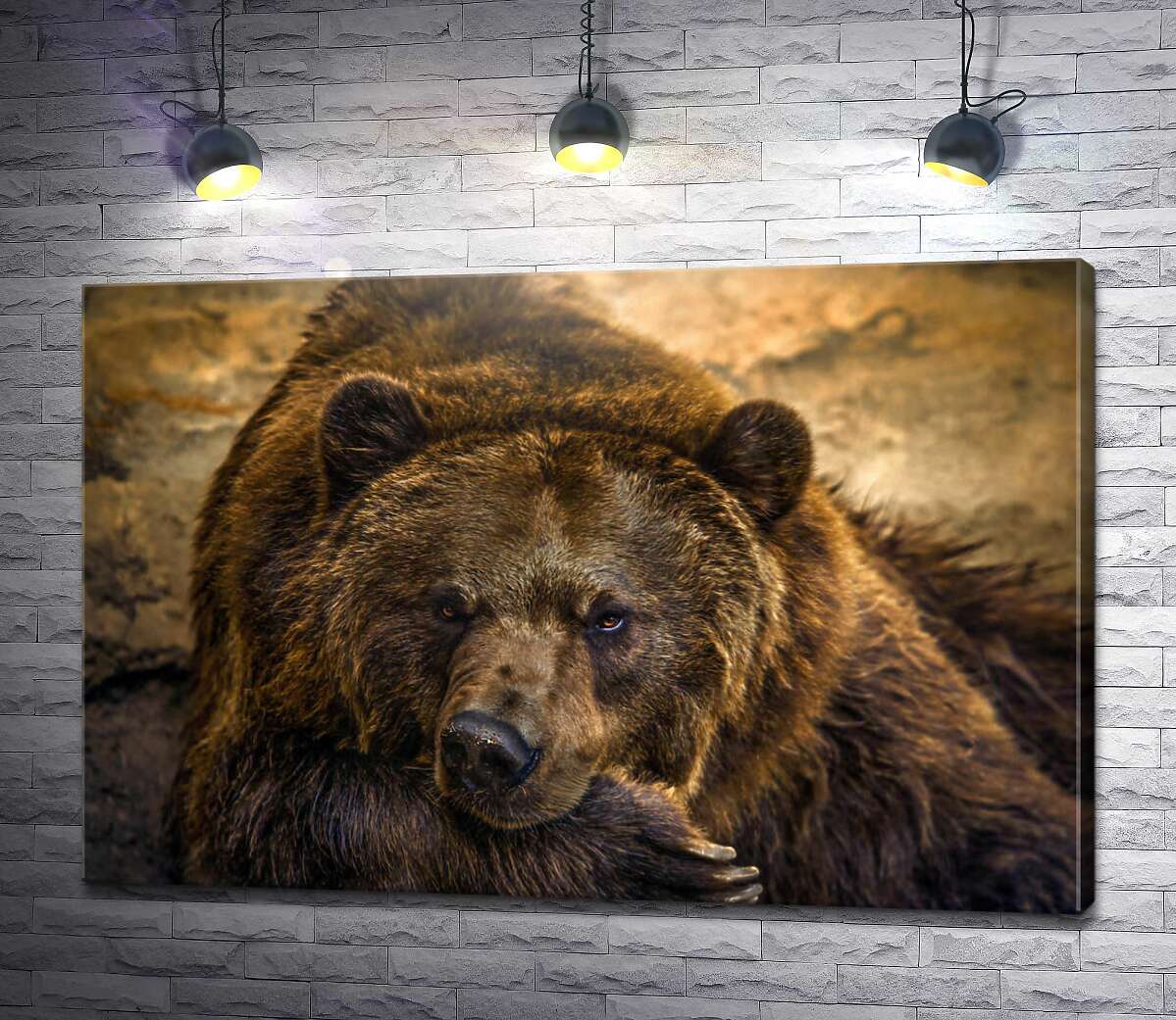 картина Портрет відпочиваючого ведмедя