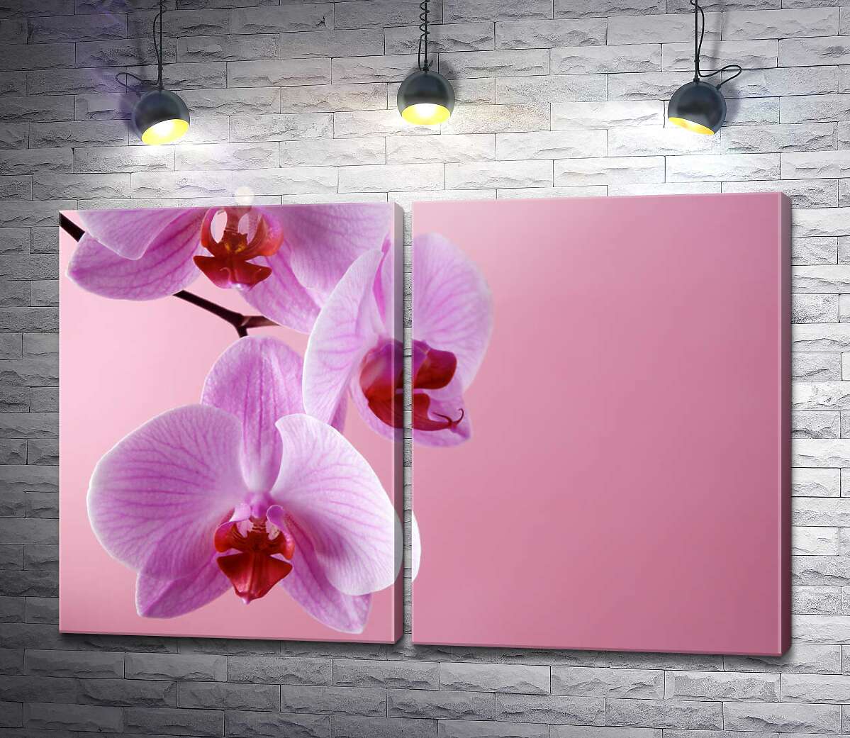 модульная картина Ветка орхидеи на розовом фоне
