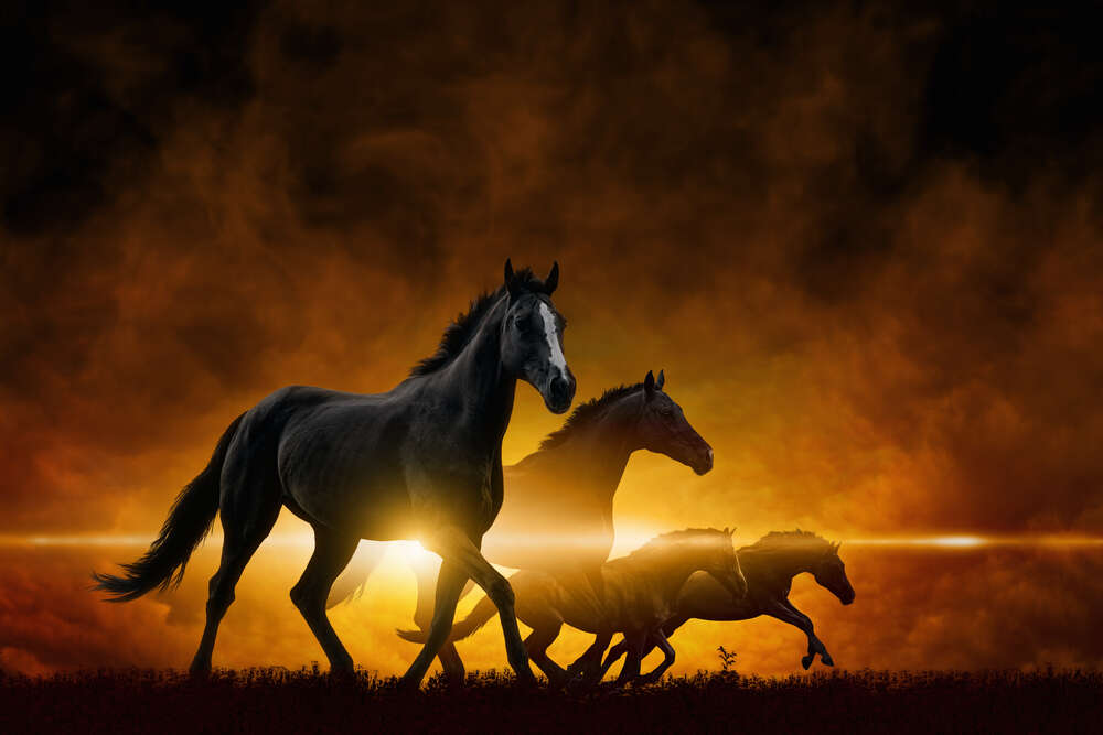 картина-постер Мчащийся табун лошадей в оранжевой дымке