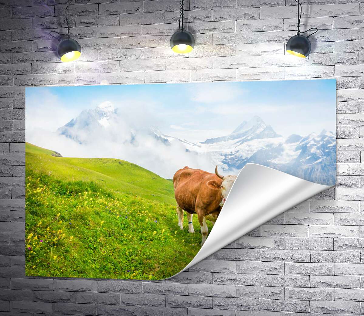 печать Корова на сочно-зеленом лугу на фоне гор