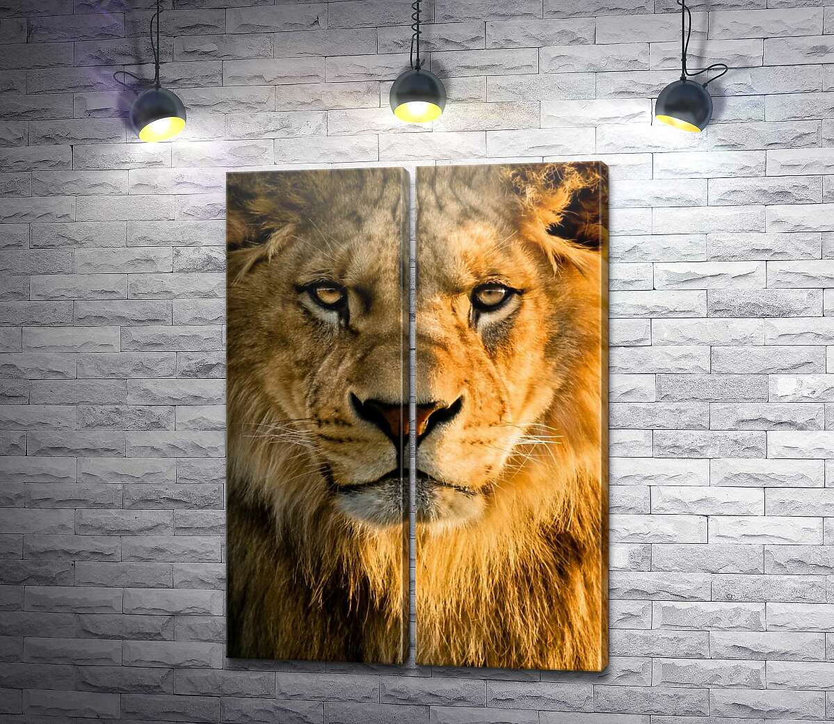 модульна картина Портрет величного лева