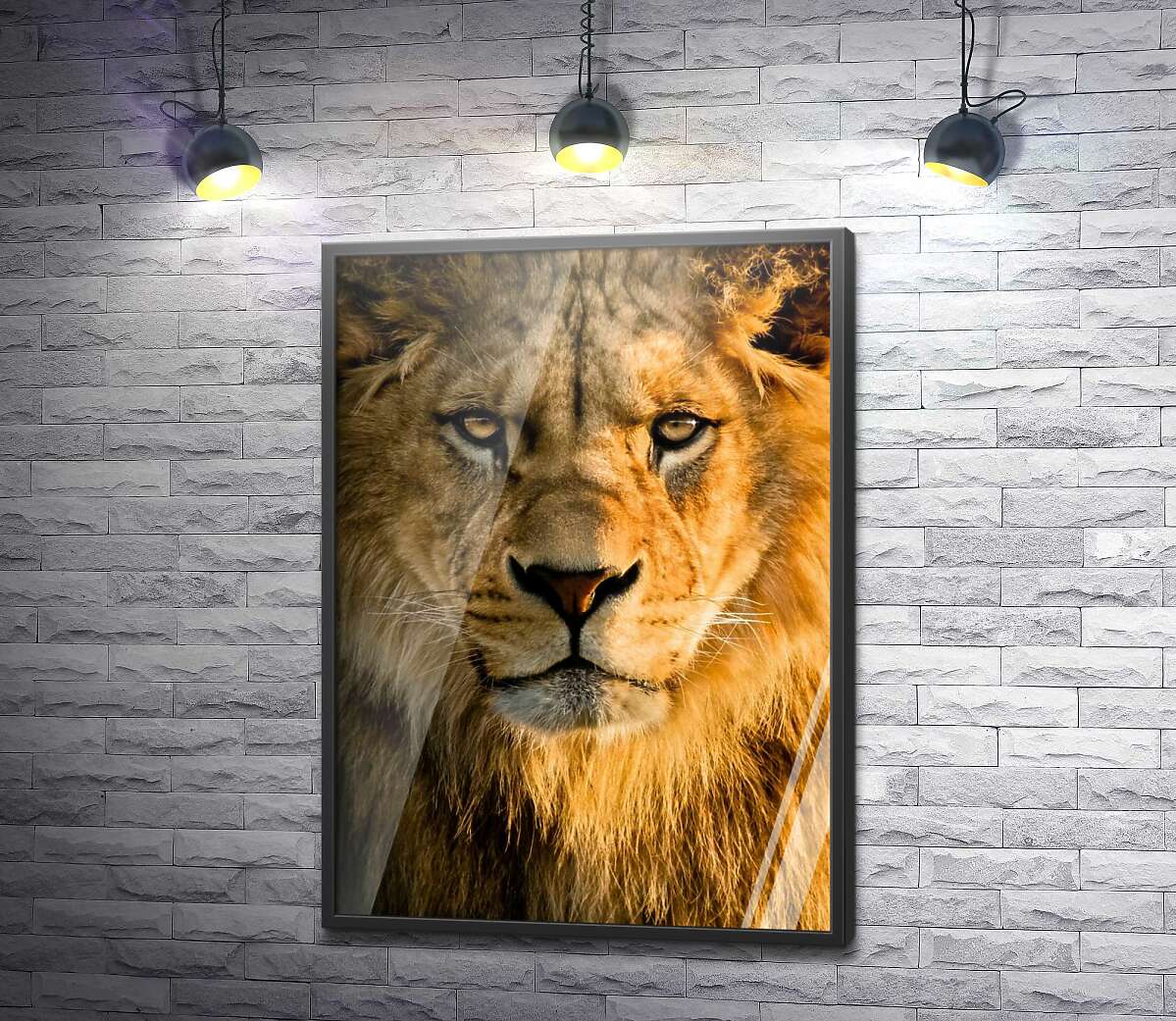 постер Портрет величественного льва