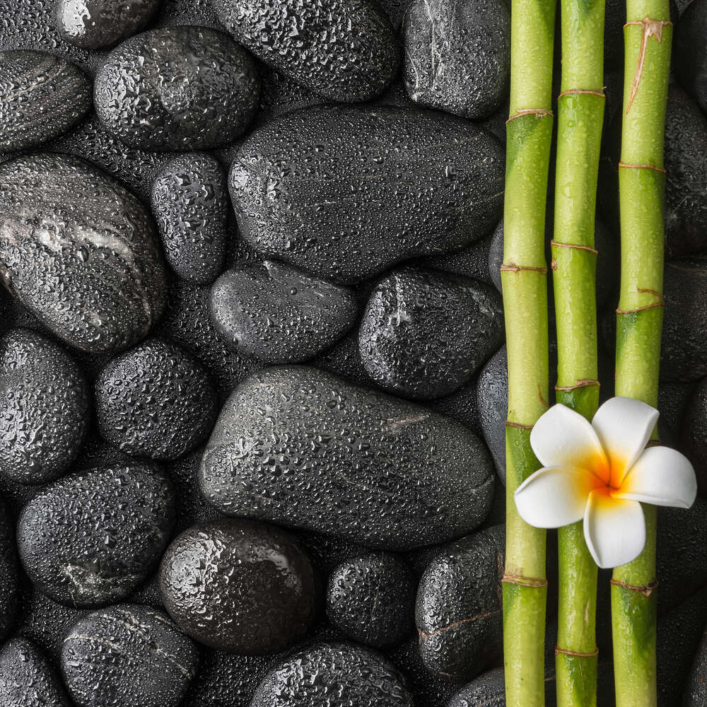 картина-постер Спа композиція: плюмерія, бамбук та чорне каміння