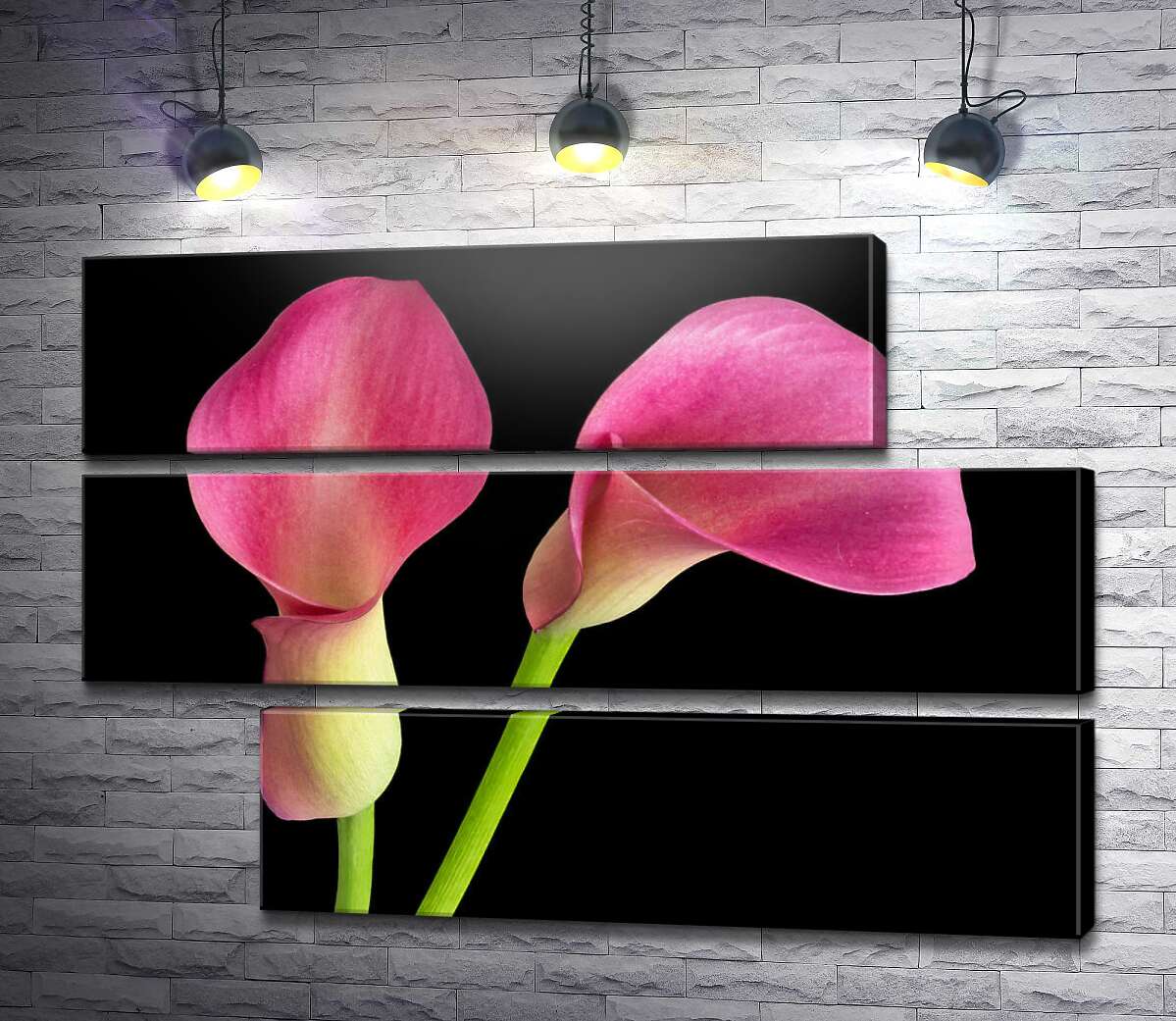 модульна картина Рожеві кали на чорному тлі (Модуль №16)