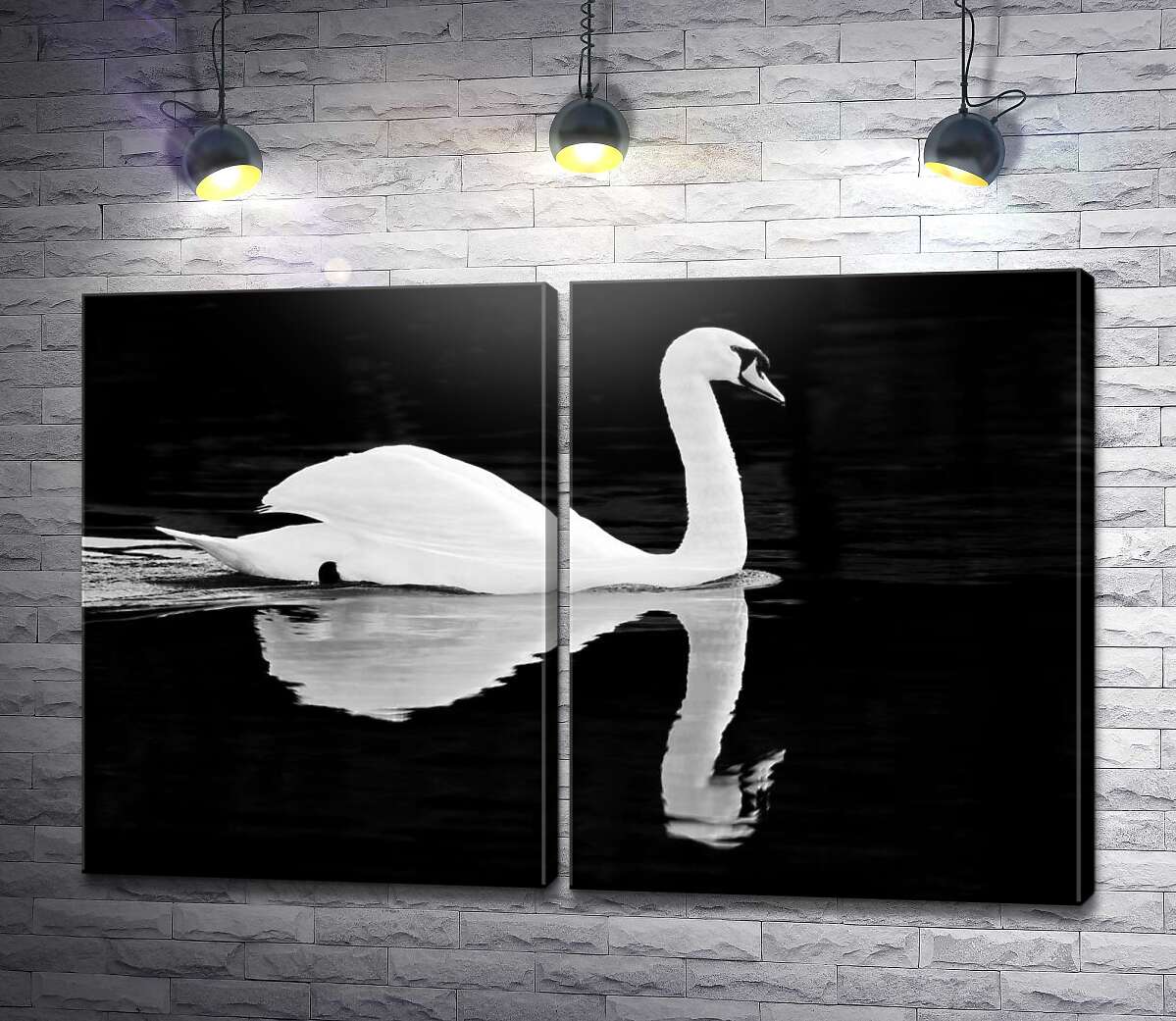 модульная картина Белый лебедь на пруду на черном фоне