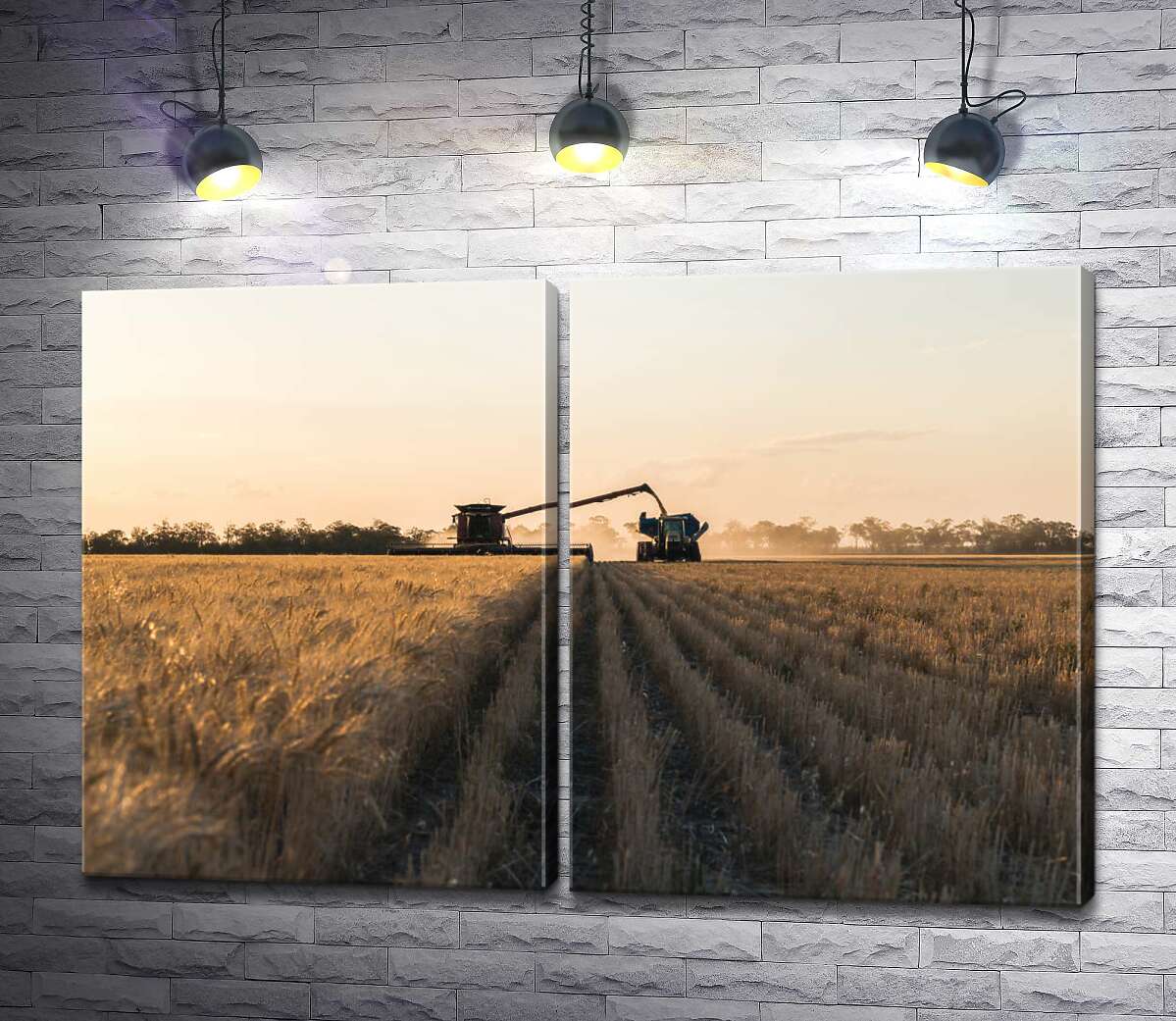 модульная картина Комбайн и трактор в поле пшеницы