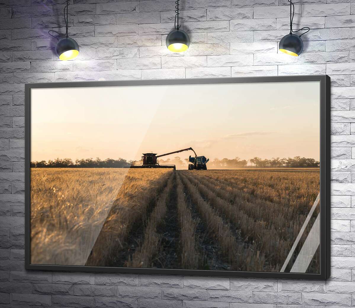 постер Комбайн та трактор у полі пшениці