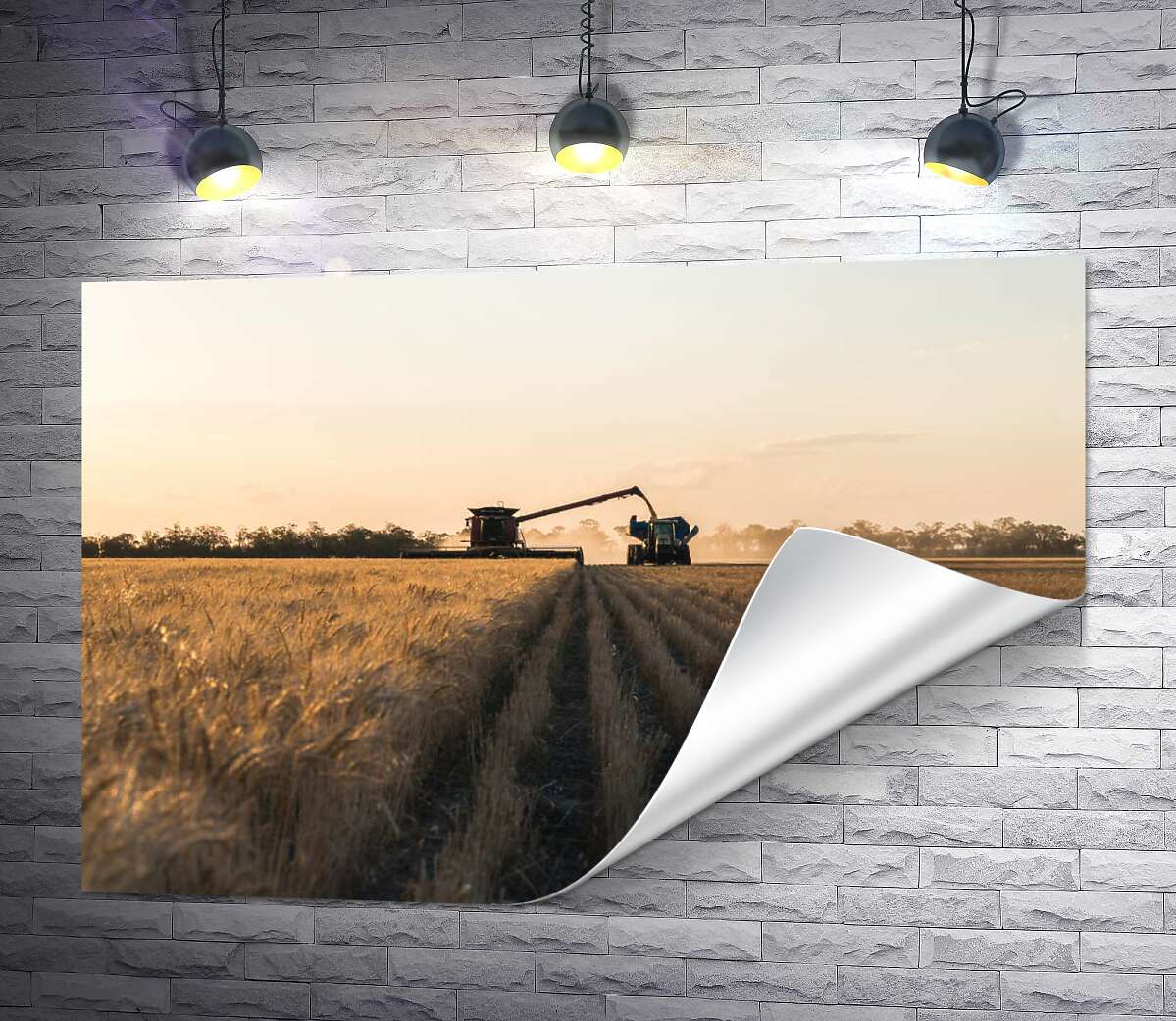 друк Комбайн та трактор у полі пшениці