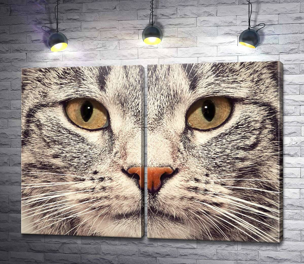модульная картина Портрет кошки крупным планом