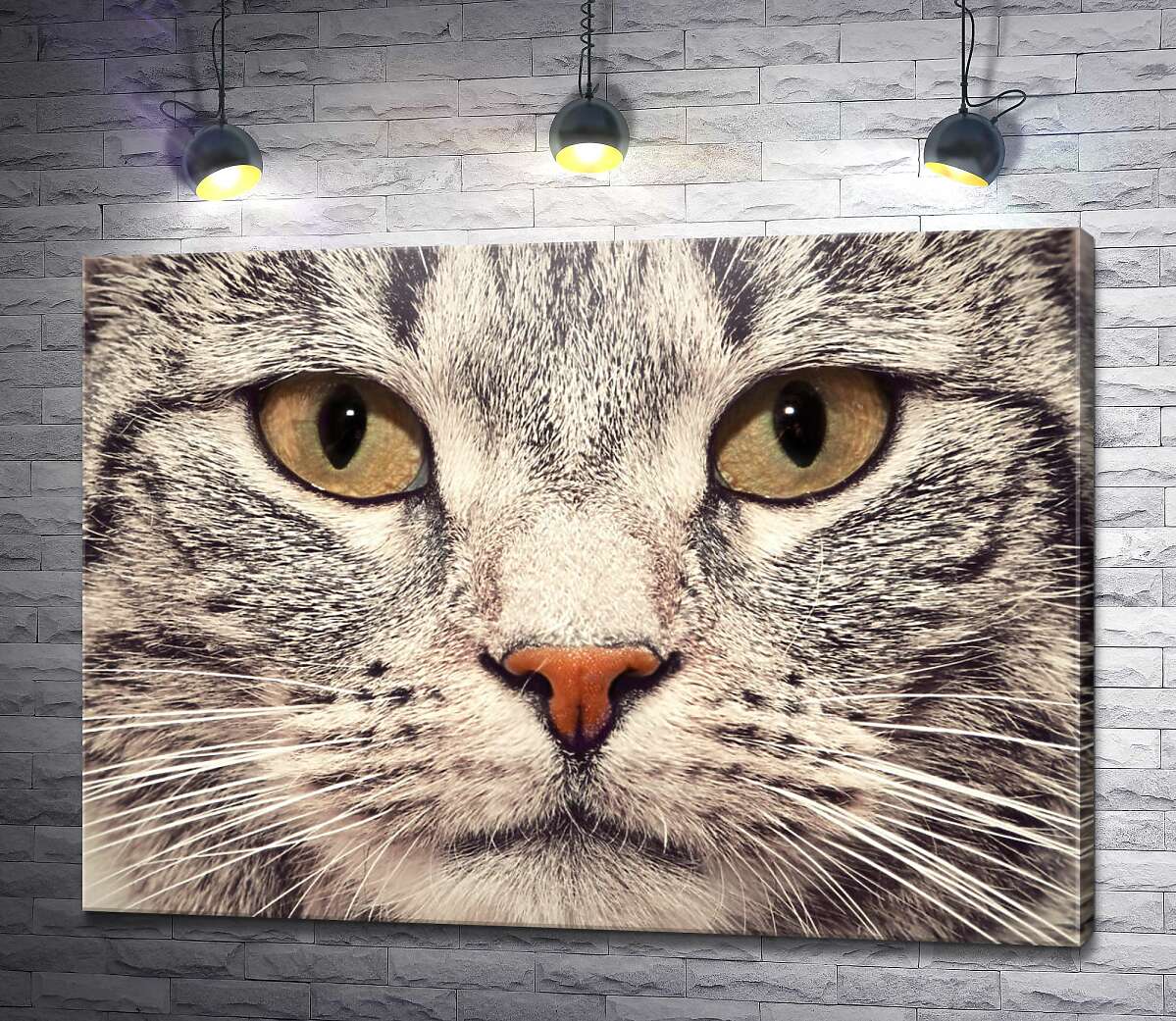 картина Портрет кішки крупним планом