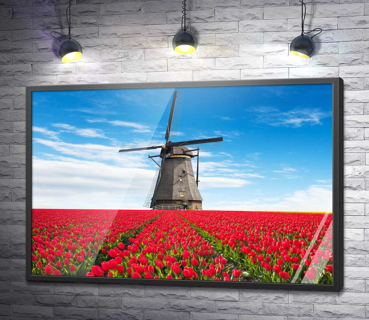 постер Мельница на поле красных тюльпанов