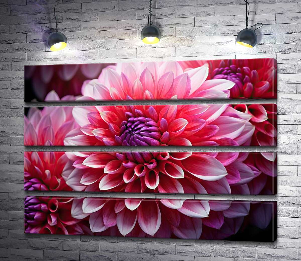 Модульная картина Георгины крупным планом (Модуль №22)